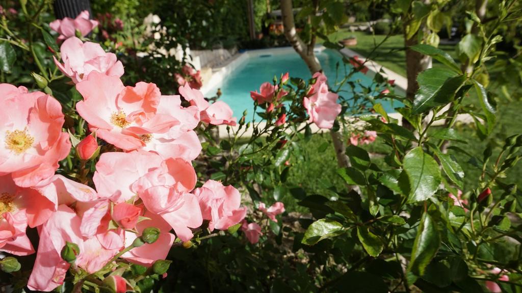 Bed and Breakfast Mary'S Dream Manoppello Екстер'єр фото